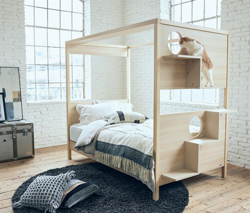 日本dinos附有貓咪階梯的床截圖 2022-01-14 下午7.08.54 日本dinos附有貓咪階梯的床截圖 2022-01-14 下午7.08.54