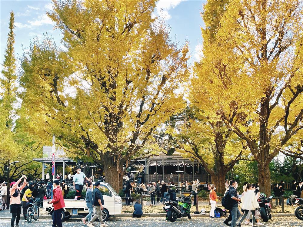 東京建築女子_02