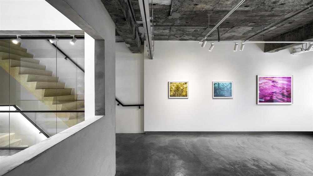 Horizon Dreams of Color 光之域展覽空間 3F -2