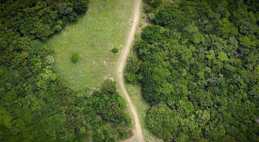 30d9c5cc-0750-44ce-a810-5fa50d6c8e22