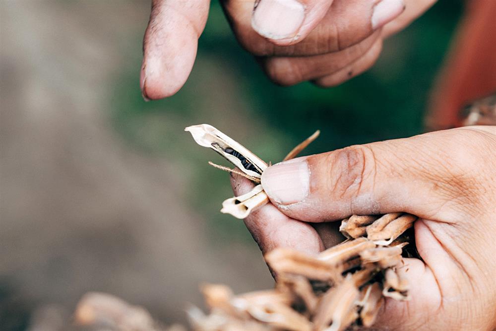 徐仲_食材產地_05