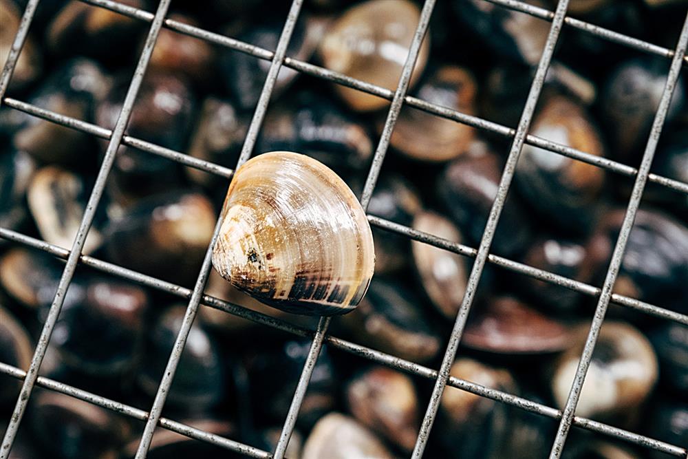 徐仲_食材產地_03