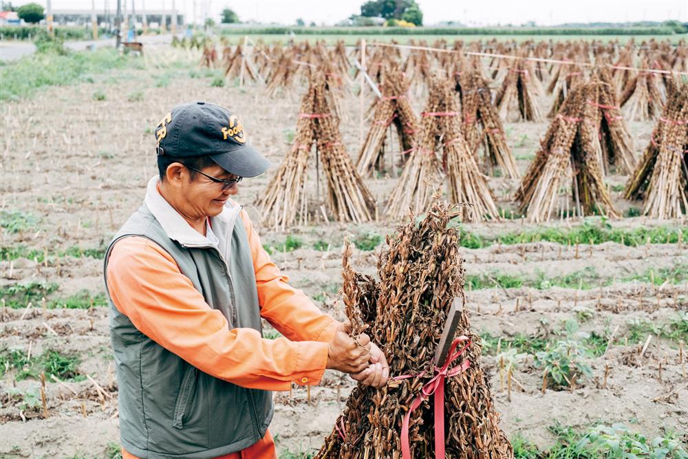 徐仲_食材產地_06