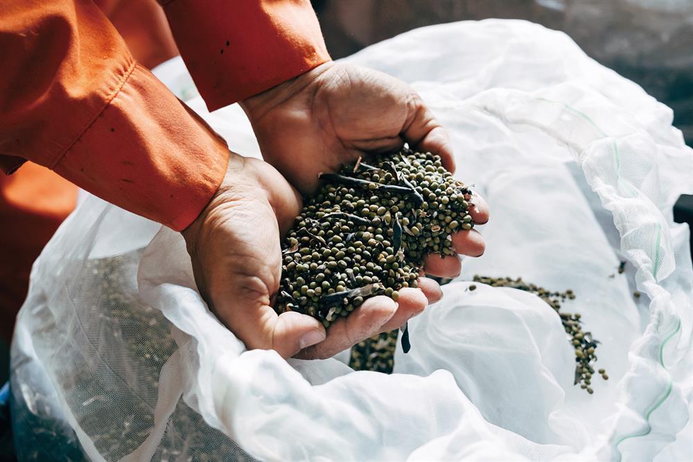 徐仲_食材產地_02