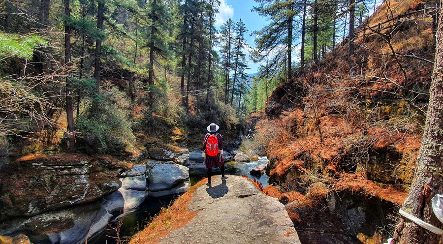 Trans Bhutan Trail HIker  Trans Bhutan Trail HIker