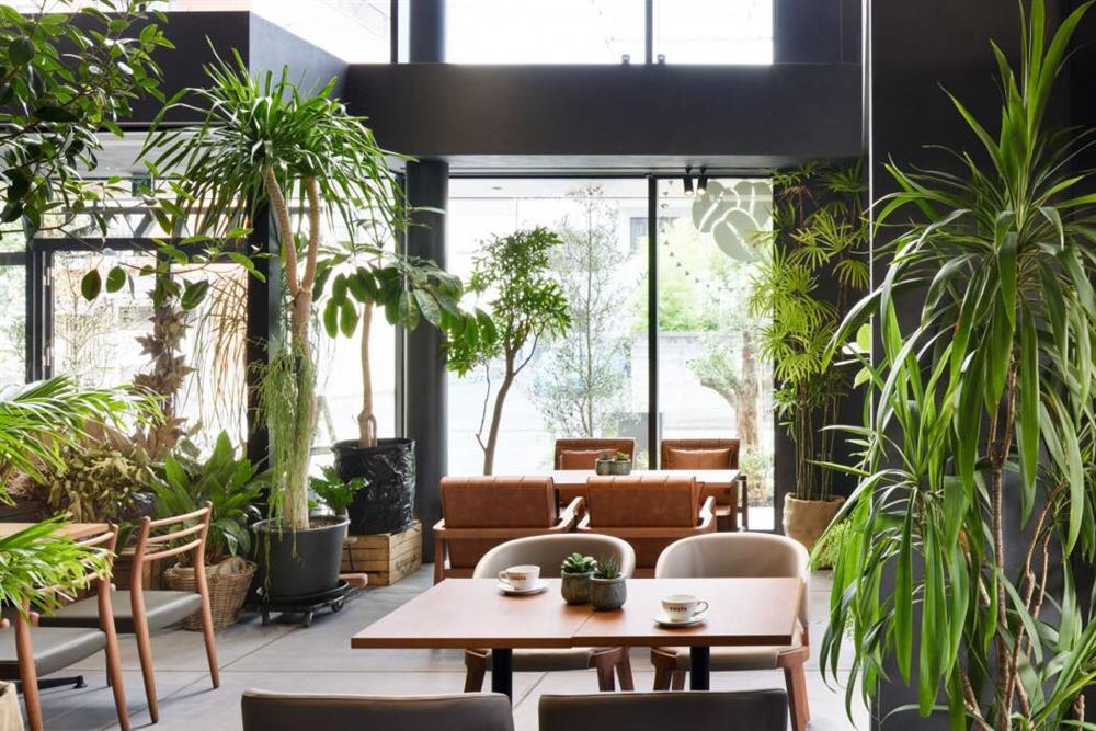 BLOOMY’S咖啡廳殯儀館5 BLOOMY’S咖啡廳殯儀館5
