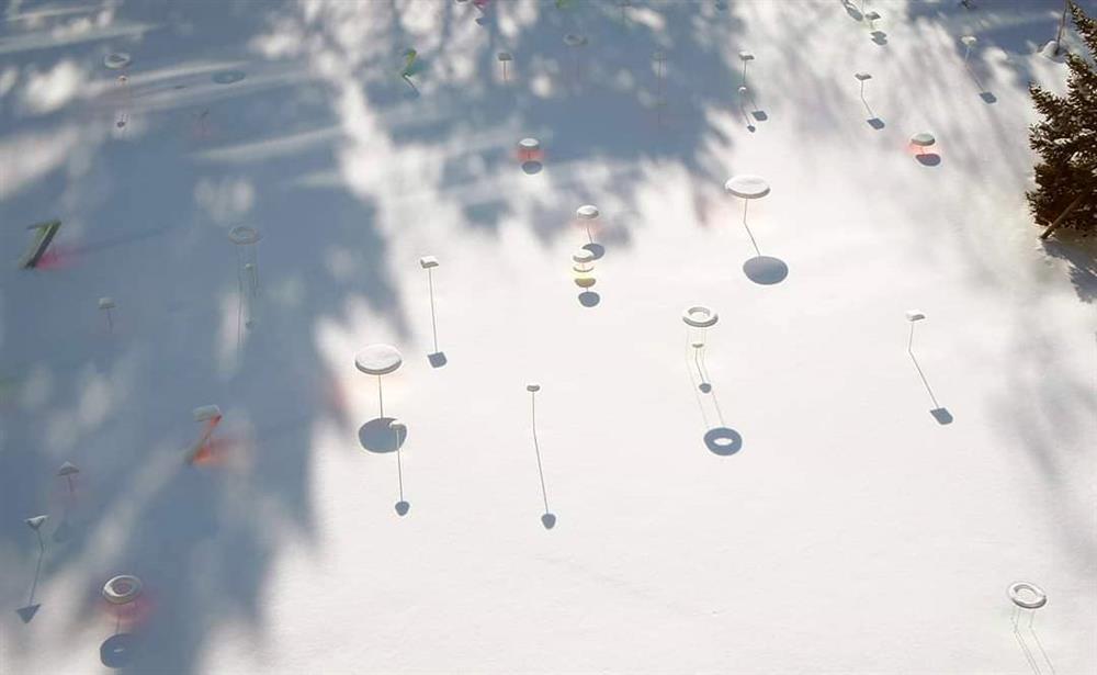 132042860_458594775532421_6508069977254075117_n