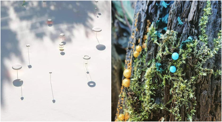 271405836_624926875417100_5750051099981389109_n