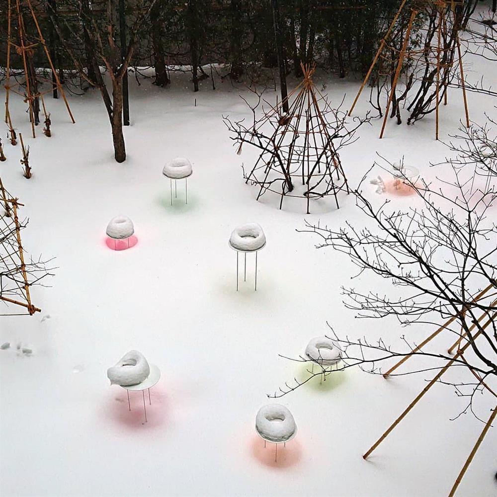 50596040_610392496068200_5689312544094316255_n