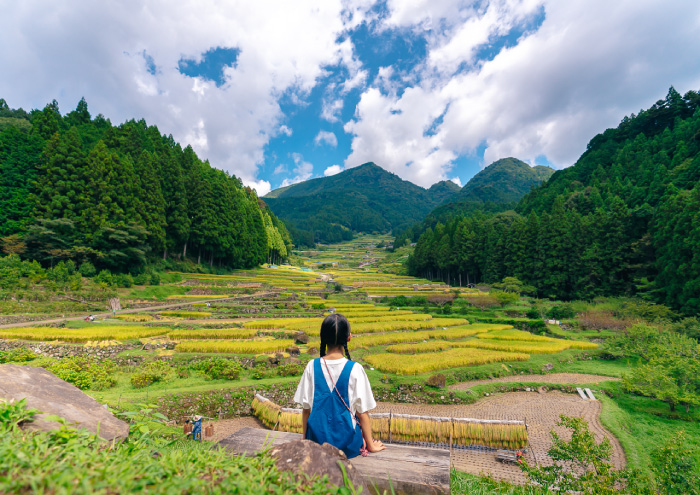 吉卜力工作室愛知縣觀光影片3