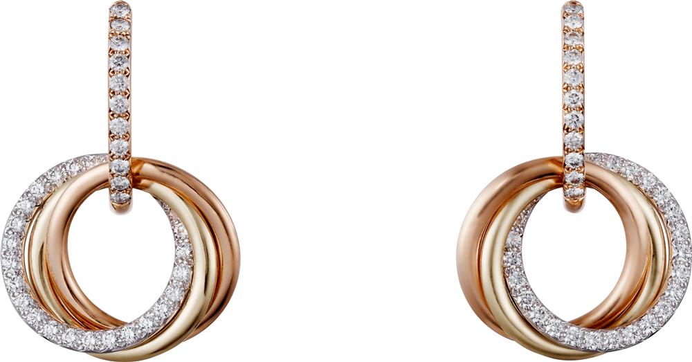 B8301259_crop_1641245