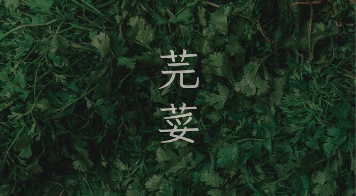 繁體硬筆楷書字型「芫荽」開放下載！以Klee為基礎、結合台灣學齡教育需求改作而成