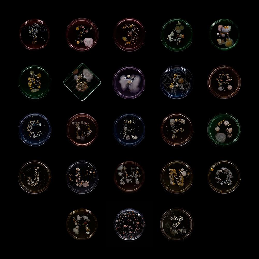 272615217_4968660726525436_5003036623316046984_n