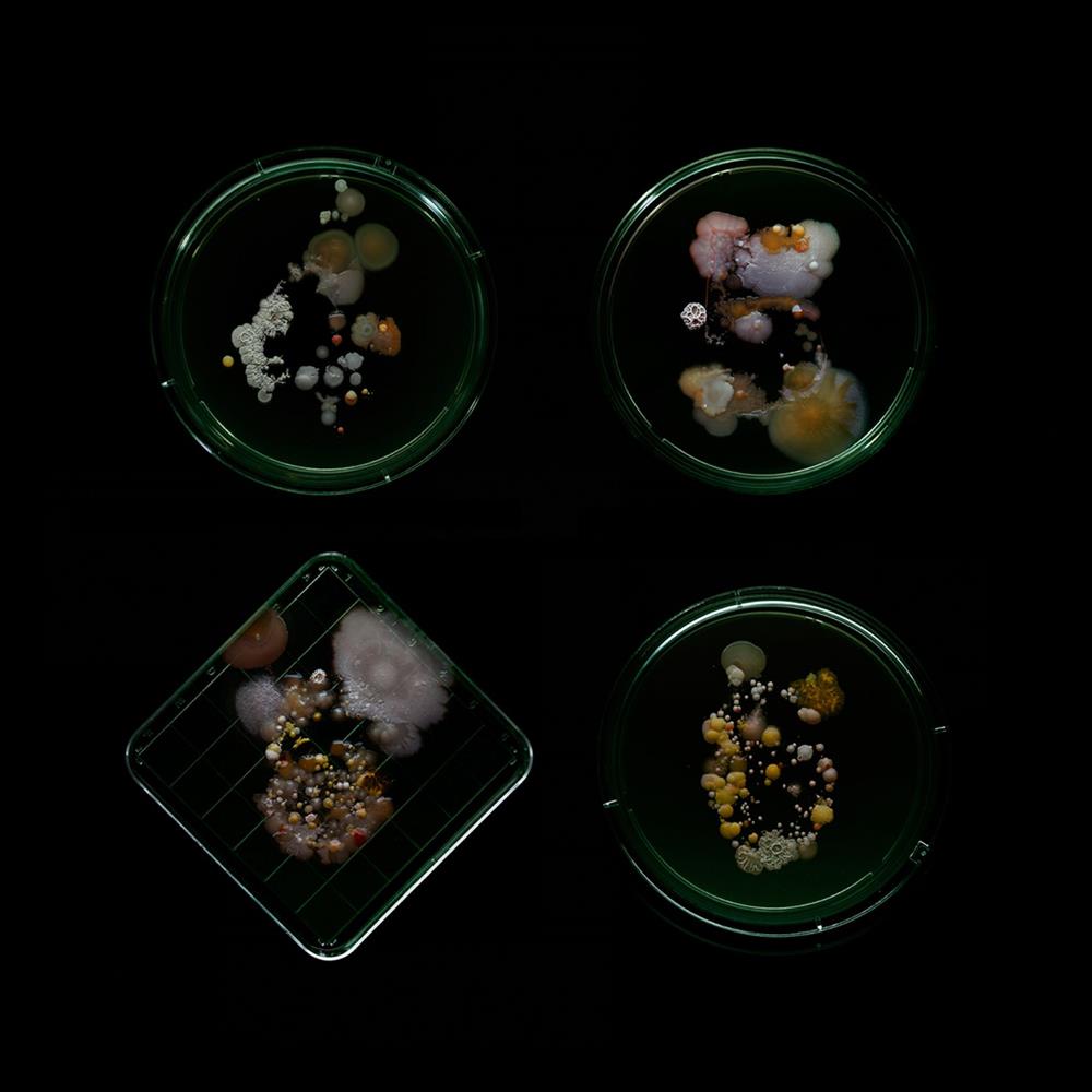 271885544_4968660716525437_1035537155722870544_n