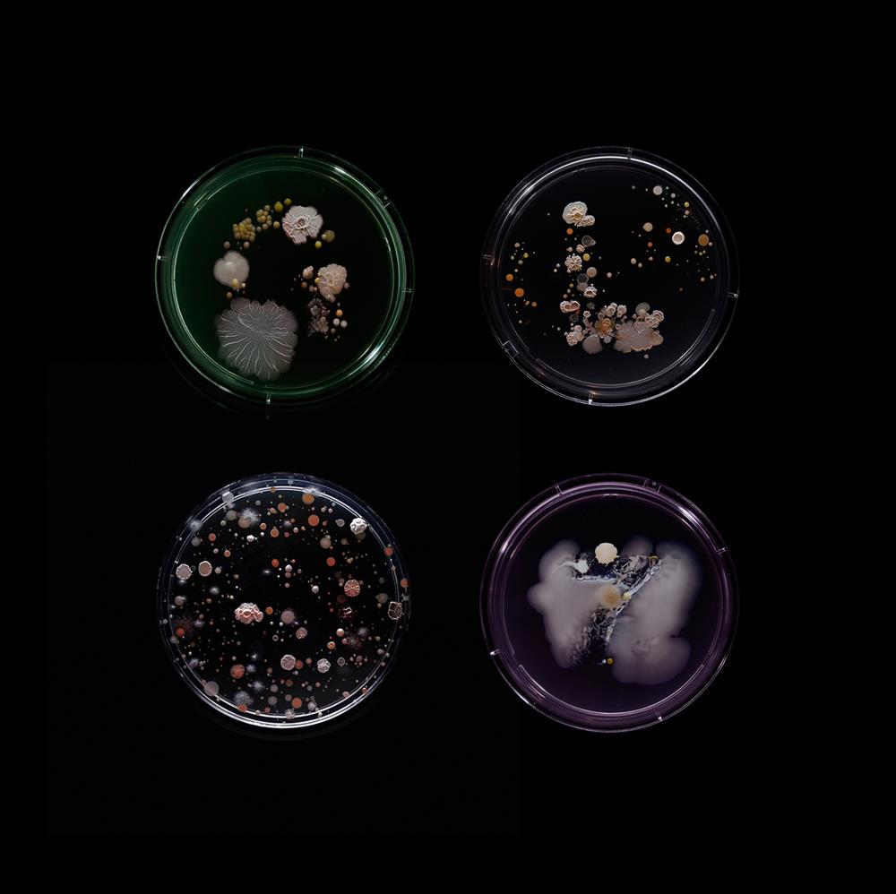 SubvisualSubway_GLS7_1500px