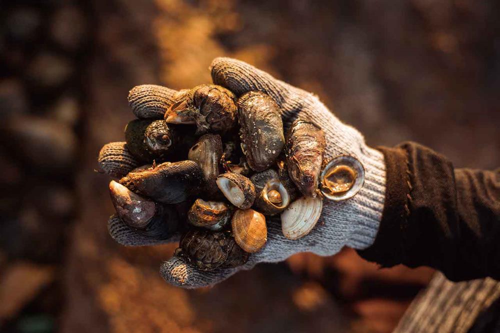 東莒Dongju_PhotoByJamesLin15_小檔