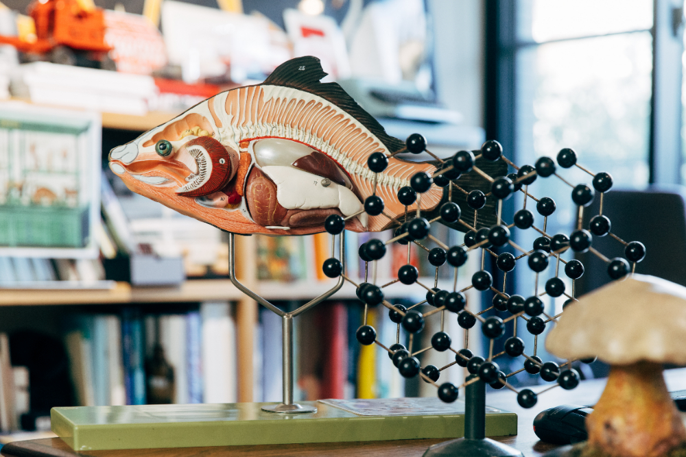 鄒駿昇_老件收藏_06 鄒駿昇_老件收藏_06