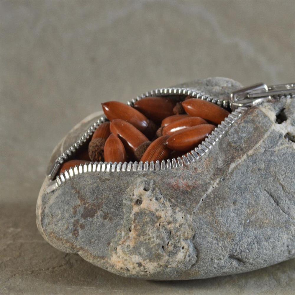 242827151_1006244853486729_5798249622279737922_n