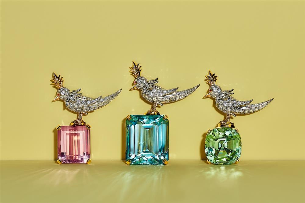 Tiffany & Co. Jean Schlumberger石上鳥胸針 - 鉑金與18K金鑲嵌摩根石, 海水藍寶或綠色碧璽主石與鑽石