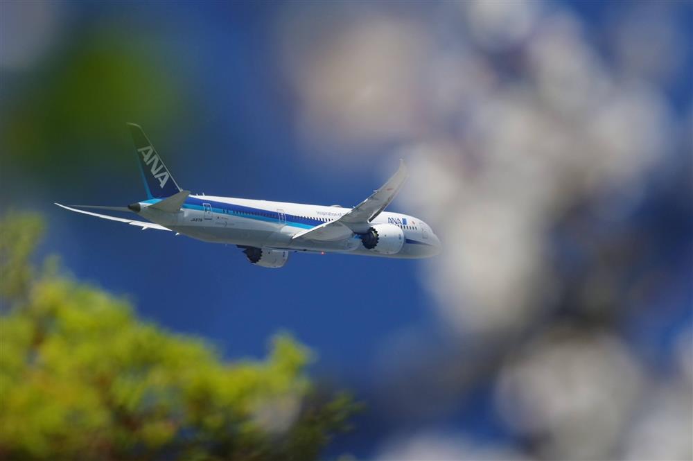 ANA全日空