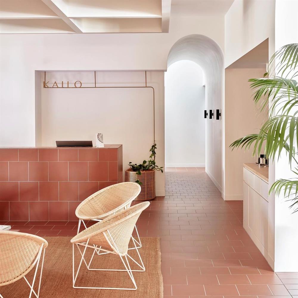 64762835_1990627721048933_2636441571495777519_n