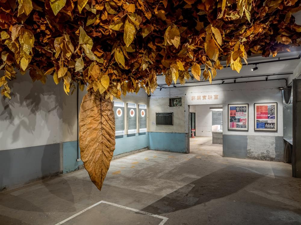 小檔屏東菸葉館_菸葉實驗室02