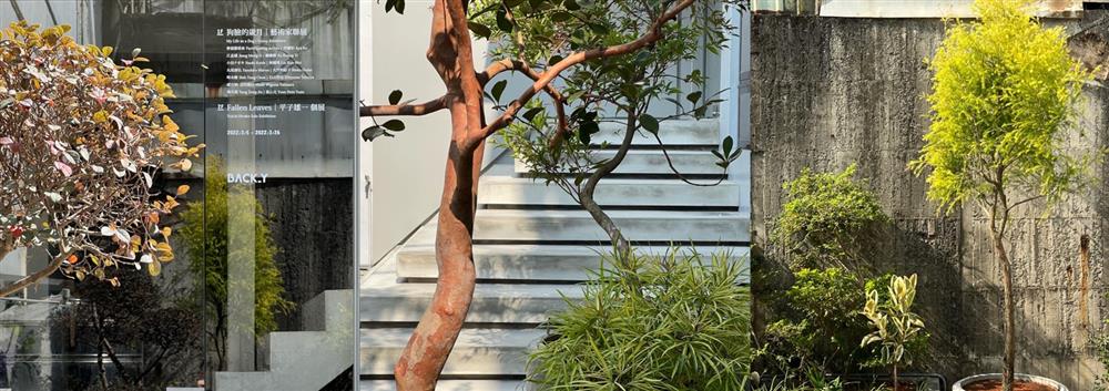 融入植物語彙，打造向自然敞開的「藝術系庭園」