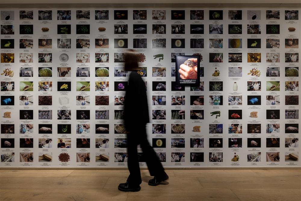 Lynn Hershman Leeson作品〈無限引擎〉 © 忠泰美術館 (2)