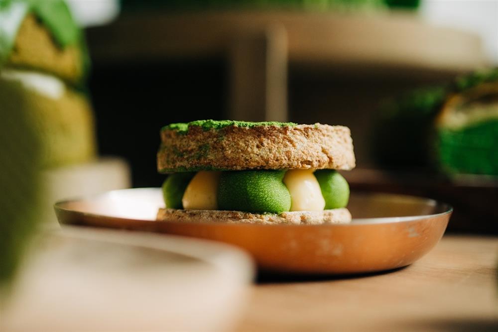 10_綠巨人達克瓦茲01