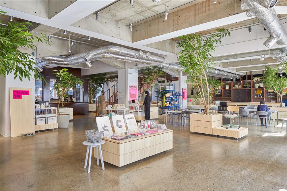 351132_147438_large_entry_medium