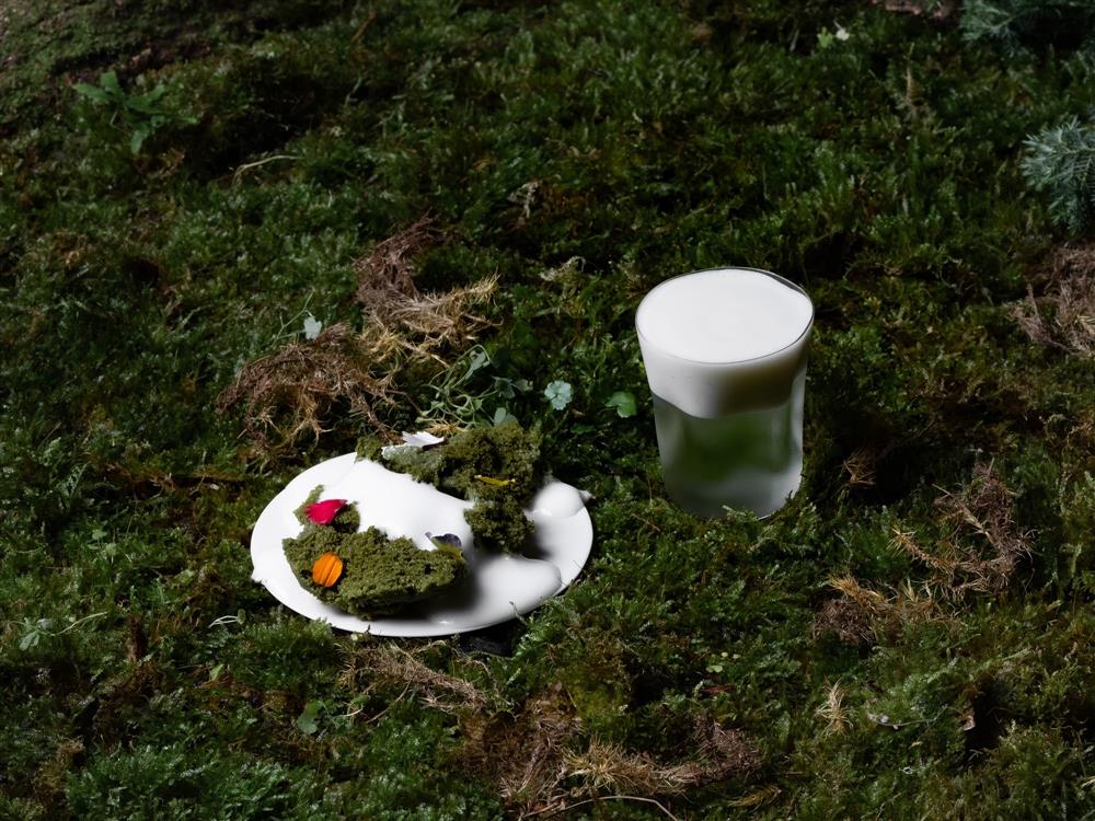 【Dessert】Matcha moss cake_coconut cocoa cocktail with cucumber mint mousse