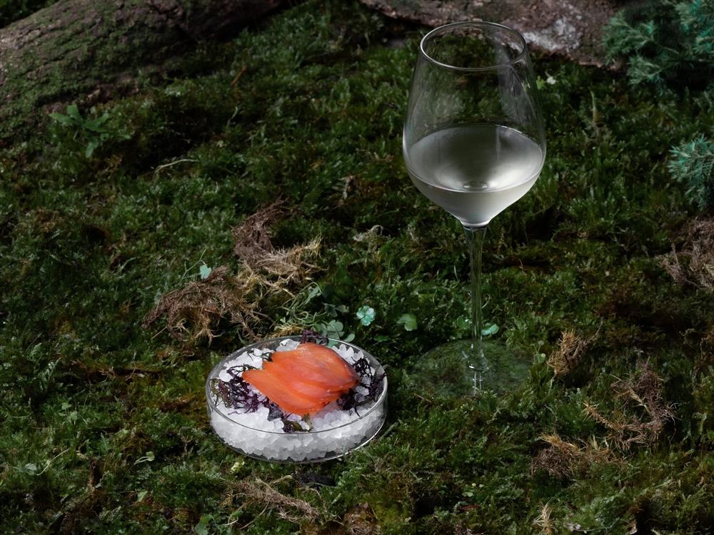 【Fish】Spiced salted salmon_dill green tea kombucha cocktail