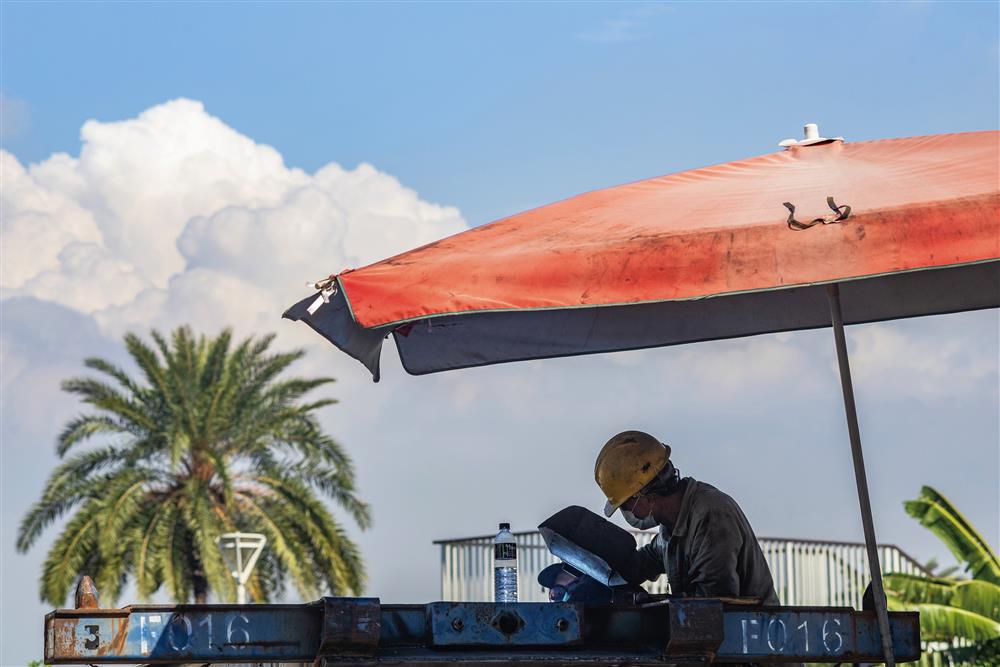 台灣職人_林楷倫_謝嘉心_袁非_11 台灣職人_林楷倫_謝嘉心_袁非_11