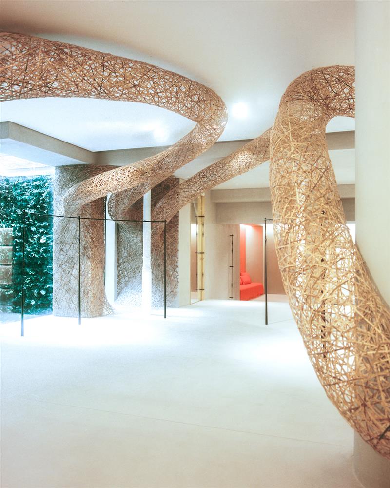 Adri… Ca¤ameras-80-2_4x5_5