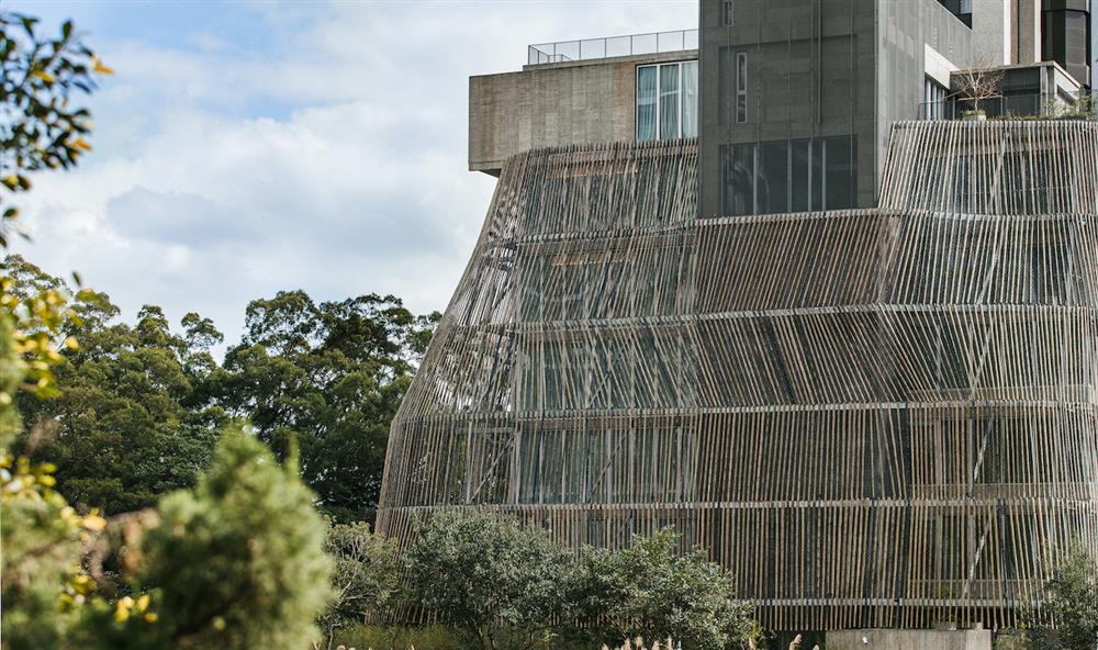 建築竹罩外觀設計