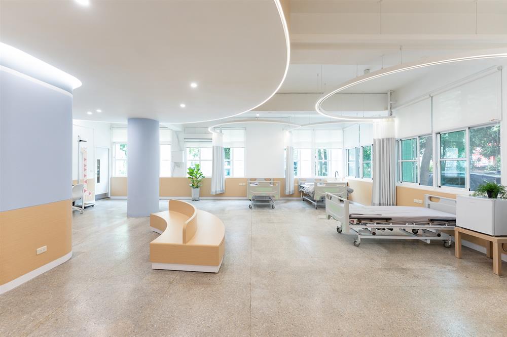 台北仁愛國小健康中心大改造！米索設計改善動線、運用木質調與弧狀線條打造療癒空間