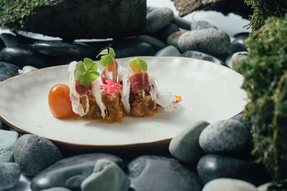 20220510029 20220510029