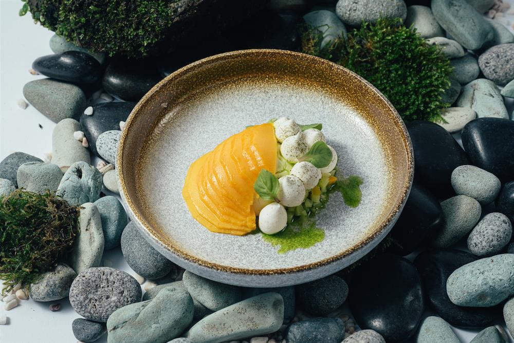 20220510087 20220510087