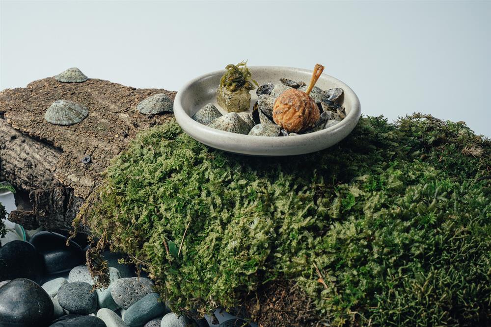 20220510001 20220510001