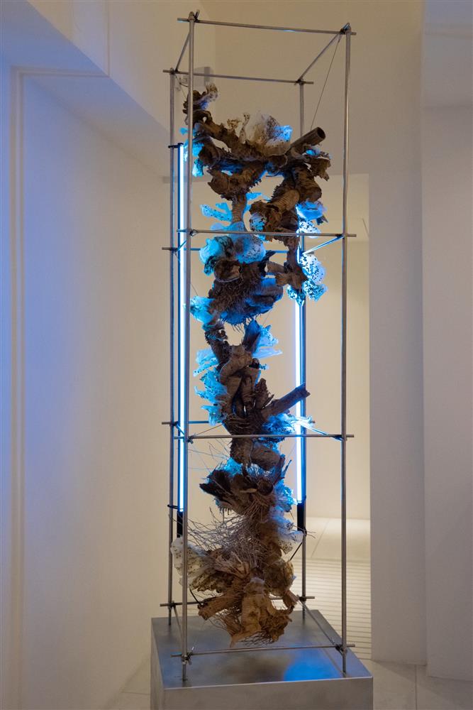 溫度物所 Temperature 藝術作品〈Regrowth：Expansion 再生成：展開〉圖3