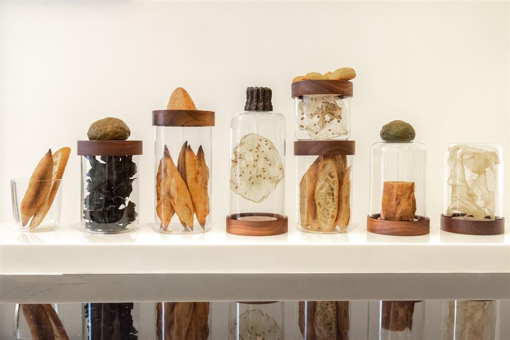 The Seedin Lab 空景圖10