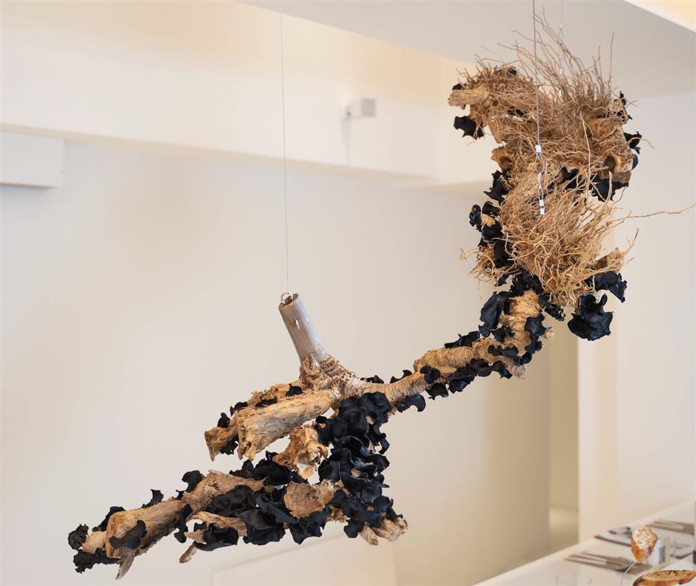 溫度物所 Temperature 藝術作品〈Regrowth：Aggregation 再生成：聚集〉圖2