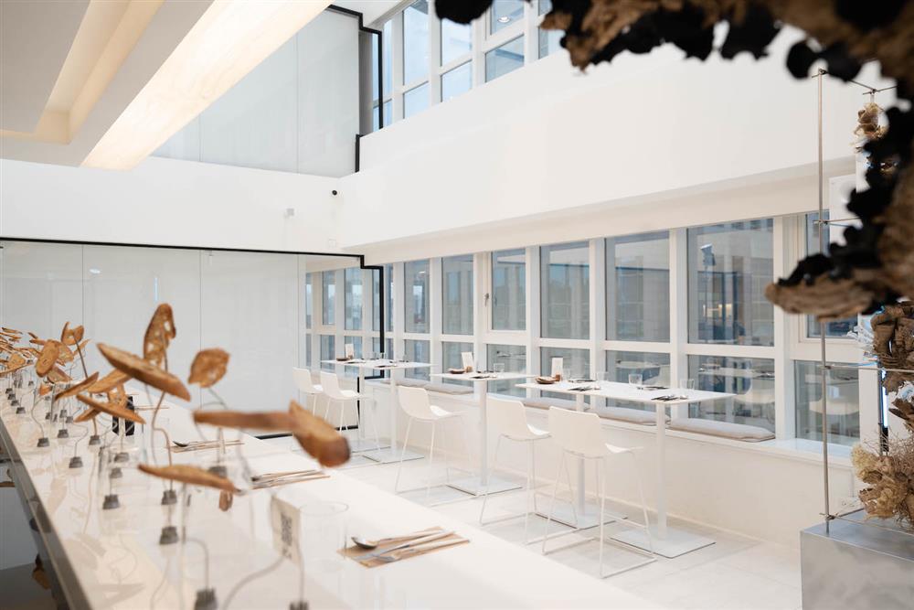 The Seedin Lab 空景圖5