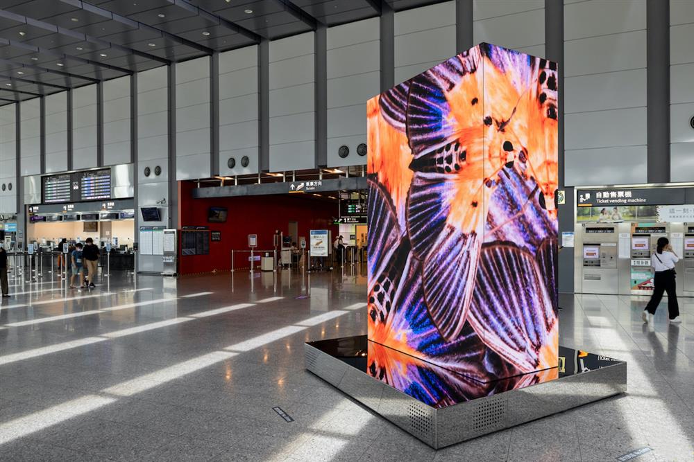 寶島隨身聽雲林8