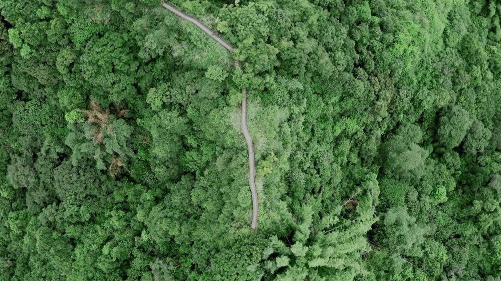 寶島隨身聽雲林13