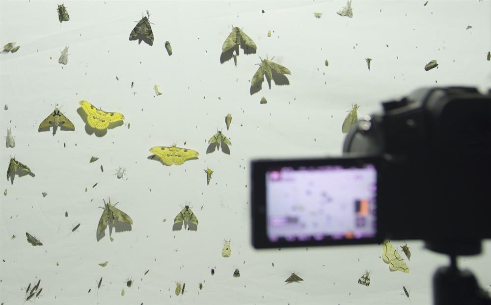 寶島隨身聽雲林15