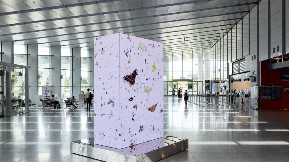 寶島隨身聽雲林3