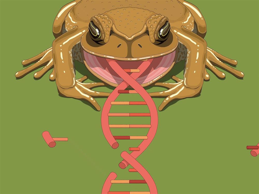 數位設計新銳_Jaedoo Lee_04