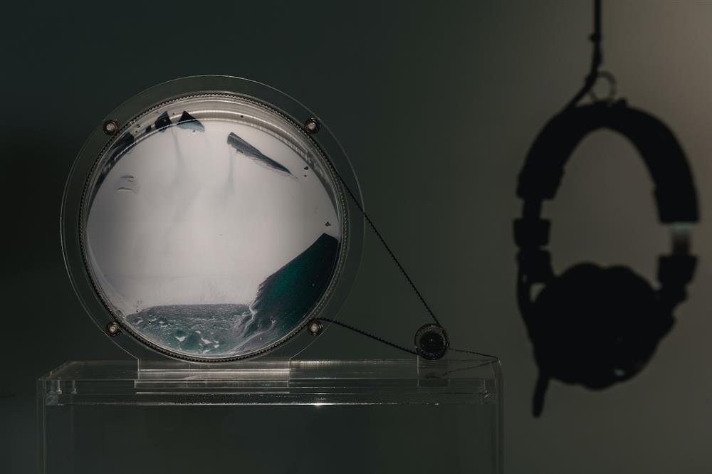 《鹿》，《小花計畫2022-Re：小花盛開的回音》，展於金馬賓館當代美術館。Photo：ALIEN Art 永添藝術