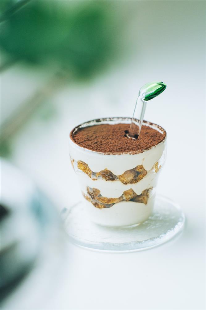 小樹苗提拉米蘇-2 小樹苗提拉米蘇-2